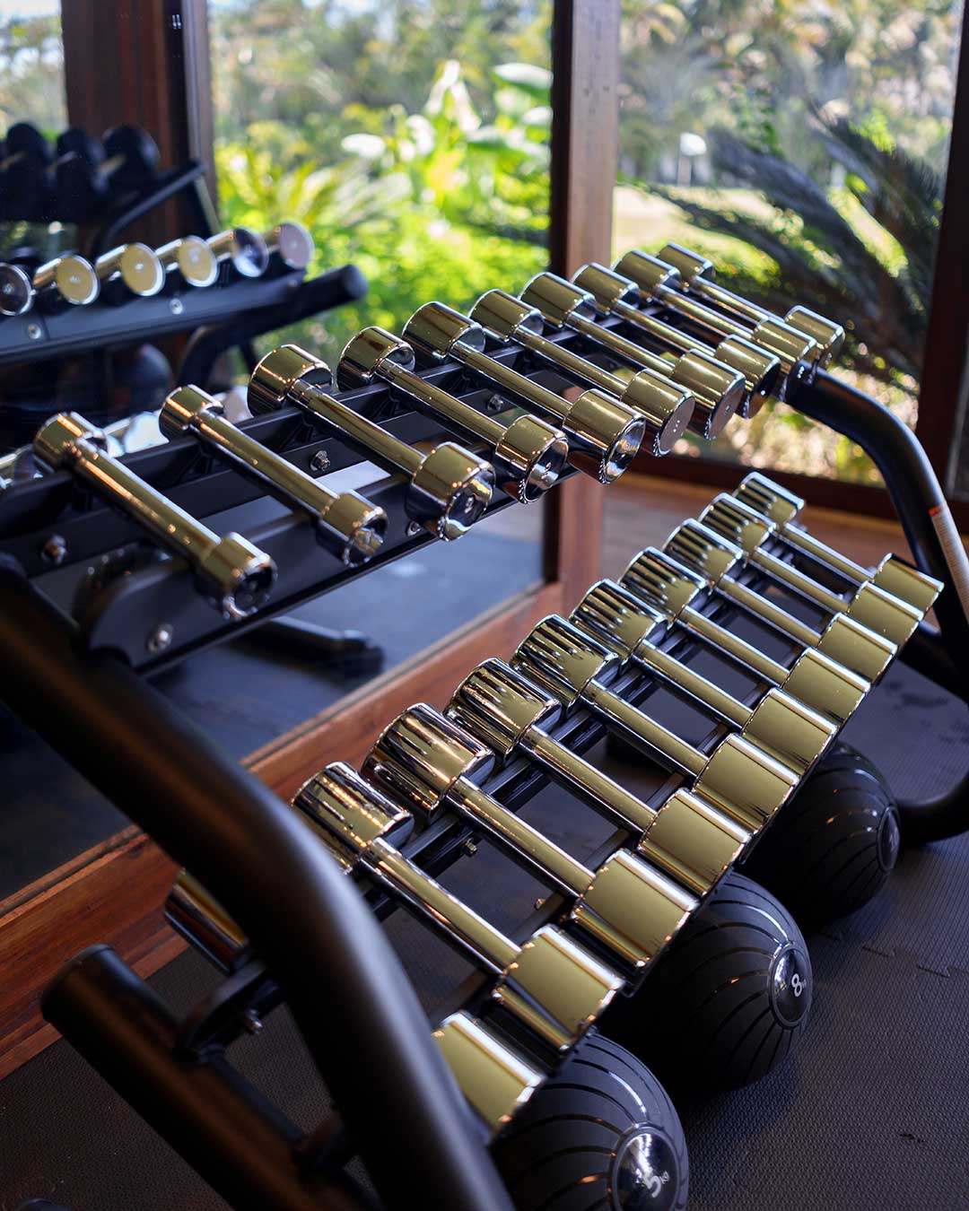 FUNCTIONAL TRAINING AND FREE WEIGHTS / TREINAMENTO FUNCIONAL E PESOS LIVRES
