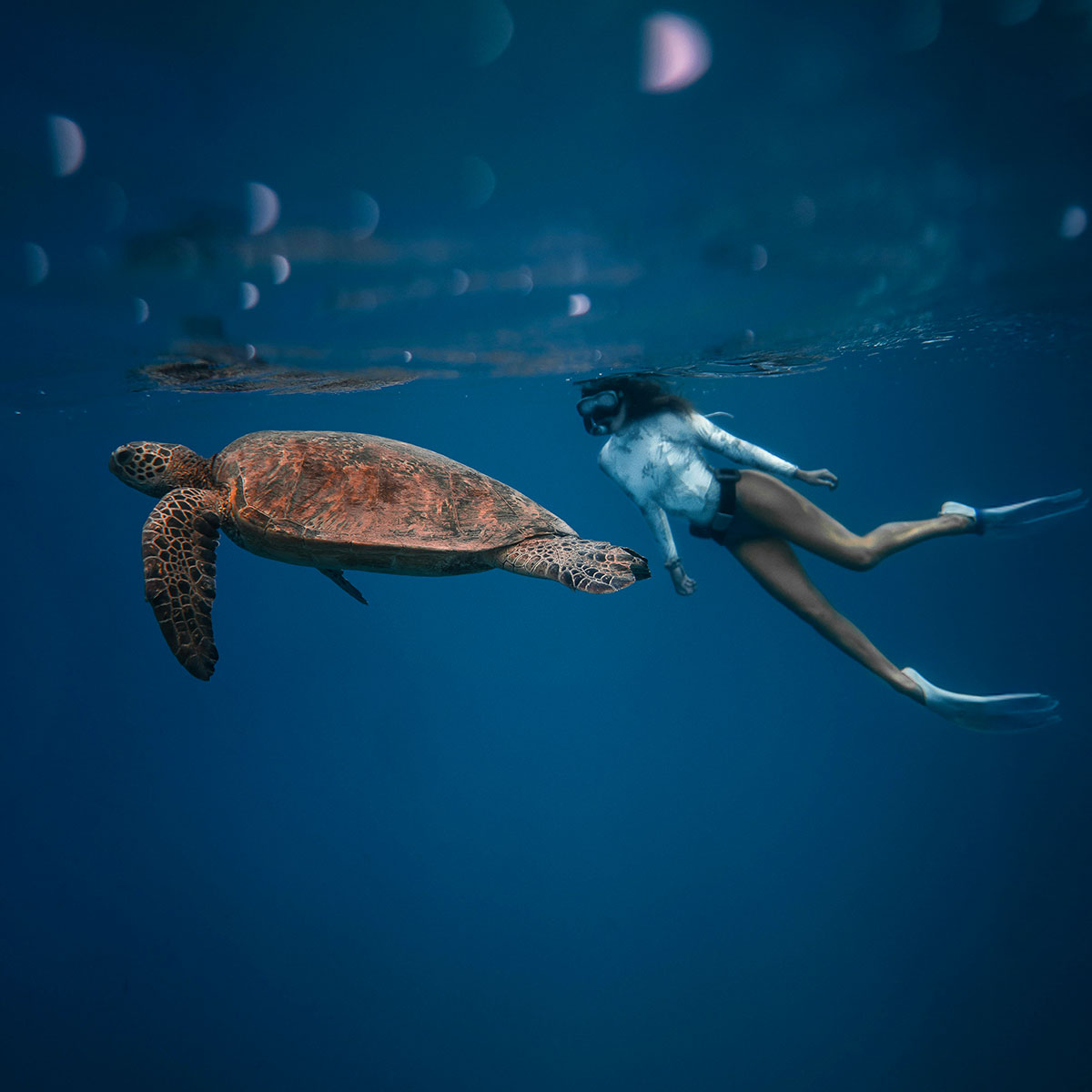 Mergulho